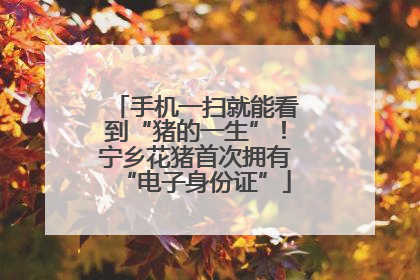 手机一扫就能看到“猪的一生”！宁乡花猪首次拥有“电子身份证”