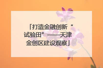 打造金融创新“试验田”——天津金创区建设观察