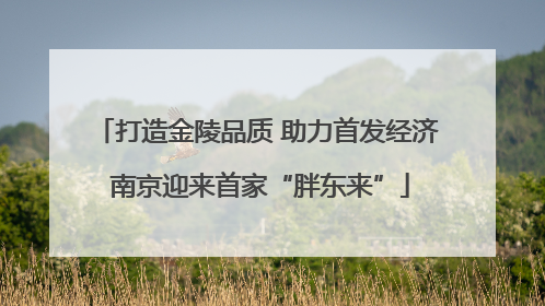 打造金陵品质 助力首发经济 南京迎来首家“胖东来”