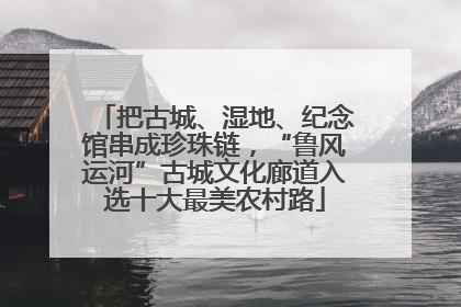 把古城、湿地、纪念馆串成珍珠链，“鲁风运河”古城文化廊道入选十大最美农村路