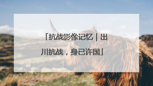 抗战影像记忆｜出川抗战，身已许国