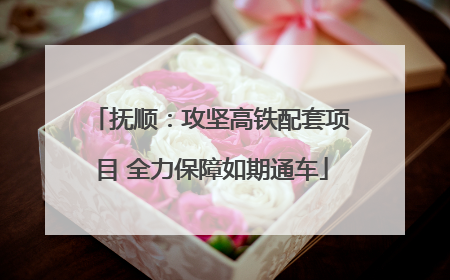 抚顺：攻坚高铁配套项目 全力保障如期通车