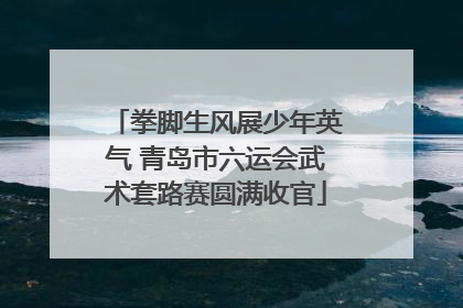 拳脚生风展少年英气 青岛市六运会武术套路赛圆满收官