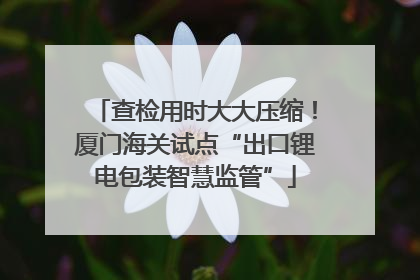 查检用时大大压缩！厦门海关试点“出口锂电包装智慧监管”