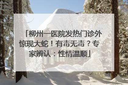 柳州一医院发热门诊外惊现大蛇！有毒无毒？专家辨认：性情温顺