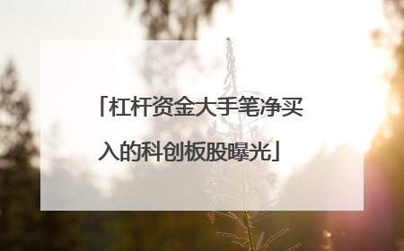 杠杆资金大手笔净买入的科创板股曝光