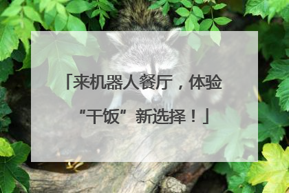 来机器人餐厅，体验“干饭”新选择！
