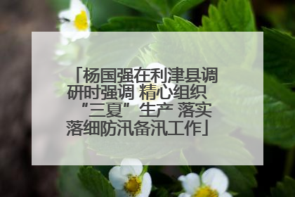 杨国强在利津县调研时强调 精心组织“三夏”生产 落实落细防汛备汛工作