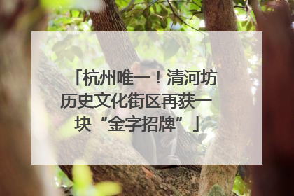 杭州唯一！清河坊历史文化街区再获一块“金字招牌”