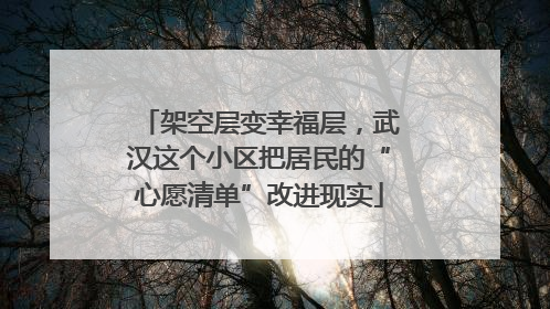 架空层变幸福层，武汉这个小区把居民的“心愿清单”改进现实