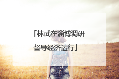林武在淄博调研督导经济运行