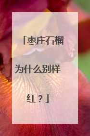 枣庄石榴为什么别样红？