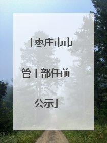 枣庄市市管干部任前公示