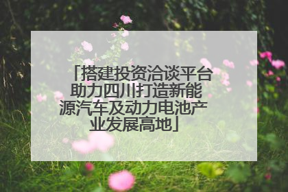 搭建投资洽谈平台 助力四川打造新能源汽车及动力电池产业发展高地