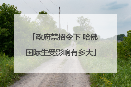 政府禁招令下 哈佛国际生受影响有多大
