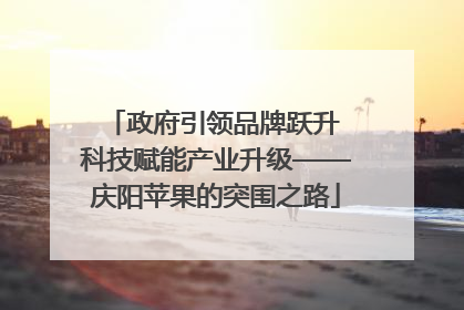政府引领品牌跃升 科技赋能产业升级——庆阳苹果的突围之路