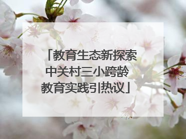 教育生态新探索 中关村三小跨龄教育实践引热议