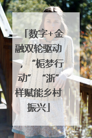 数字+金融双轮驱动，“栀梦行动”“浙”样赋能乡村振兴