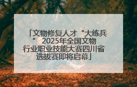 文物修复人才“大练兵” 2025年全国文物行业职业技能大赛四川省选拔赛即将启幕