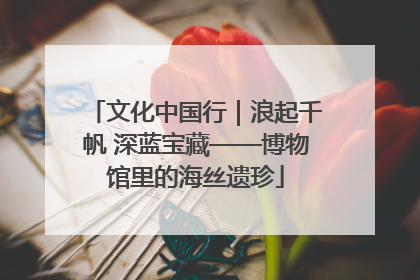 文化中国行｜浪起千帆 深蓝宝藏——博物馆里的海丝遗珍