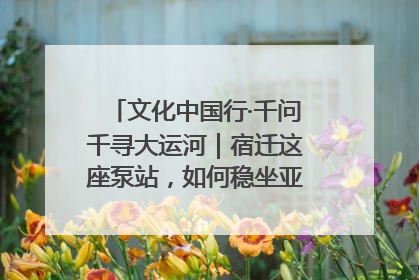 文化中国行·千问千寻大运河｜宿迁这座泵站，如何稳坐亚洲第一宝座？