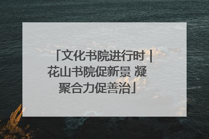 文化书院进行时｜花山书院促新景 凝聚合力促善治