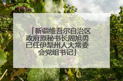 新疆维吾尔自治区政府原秘书长周旭勇已任伊犁州人大常委会党组书记