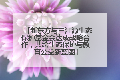 新东方与三江源生态保护基金会达成战略合作，共绘生态保护与教育公益新蓝图