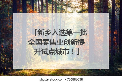 新乡入选第一批全国零售业创新提升试点城市！
