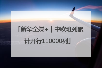 新华全媒+｜中欧班列累计开行110000列