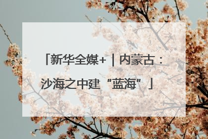 新华全媒+｜内蒙古：沙海之中建“蓝海”