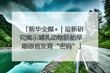 新华全媒+｜最新研究揭示哺乳动物胚胎早期器官发育“密码”