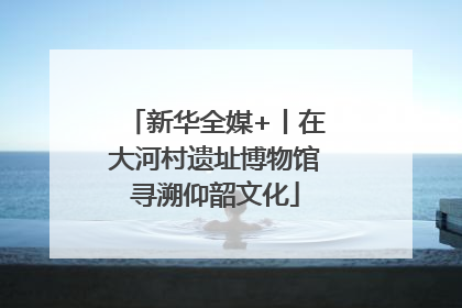 新华全媒+丨在大河村遗址博物馆寻溯仰韶文化