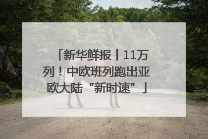 新华鲜报丨11万列！中欧班列跑出亚欧大陆“新时速”