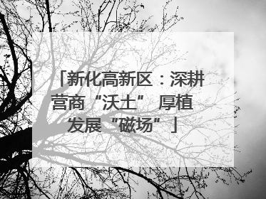 新化高新区：深耕营商“沃土” 厚植发展“磁场”