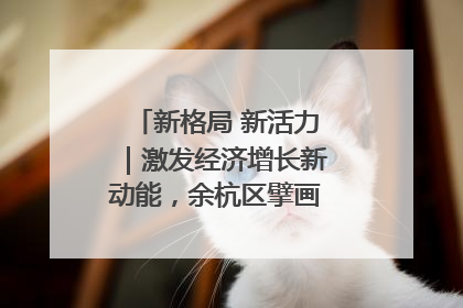 新格局 新活力｜激发经济增长新动能，余杭区擘画消费市场新布局