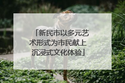 新民市以多元艺术形式为市民献上沉浸式文化体验