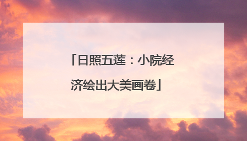 日照五莲：小院经济绘出大美画卷