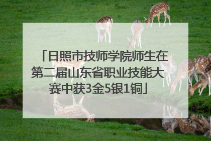 日照市技师学院师生在第二届山东省职业技能大赛中获3金5银1铜