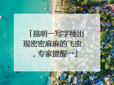 昆明一写字楼出现密密麻麻的飞虫，专家提醒→