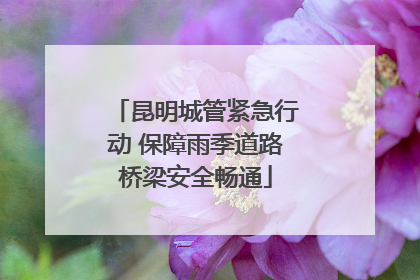 昆明城管紧急行动 保障雨季道路桥梁安全畅通