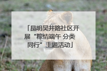 昆明吴井路社区开展“粽情端午 分类同行”主题活动