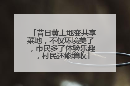 昔日黄土地变共享菜地，不仅环境美了，市民多了体验乐趣，村民还能增收