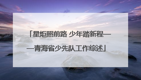 星炬照前路 少年踏新程——青海省少先队工作综述