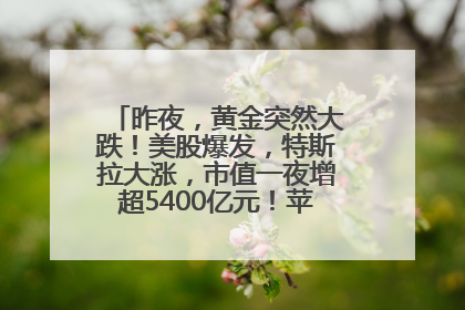昨夜，黄金突然大跌！美股爆发，特斯拉大涨，市值一夜增超5400亿元！苹果传来大消息