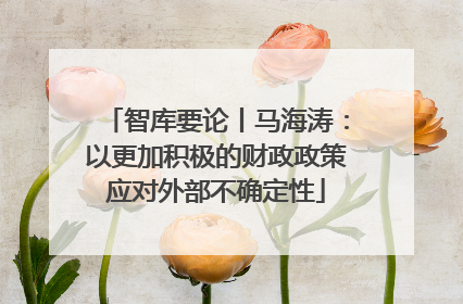 智库要论丨马海涛：以更加积极的财政政策应对外部不确定性
