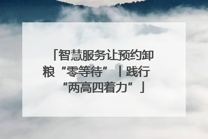 智慧服务让预约卸粮“零等待”丨践行“两高四着力”