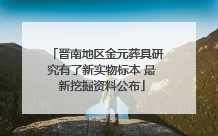 晋南地区金元葬具研究有了新实物标本 最新挖掘资料公布