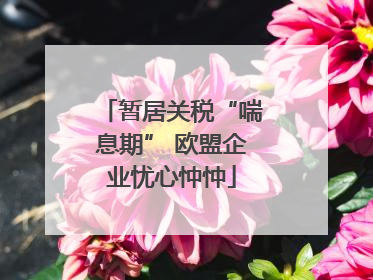 暂居关税“喘息期” 欧盟企业忧心忡忡