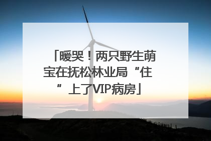 暖哭！两只野生萌宝在抚松林业局“住”上了VIP病房